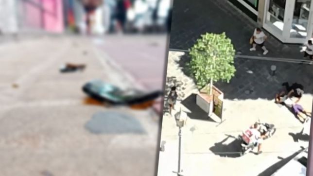 video: asi fue la sangrienta pelea entre dos trapitos en pleno centro de la plata