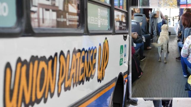 un perro perdido que busca a sus duenos se subio a un micro por su cuenta y bajo en 7 y 45