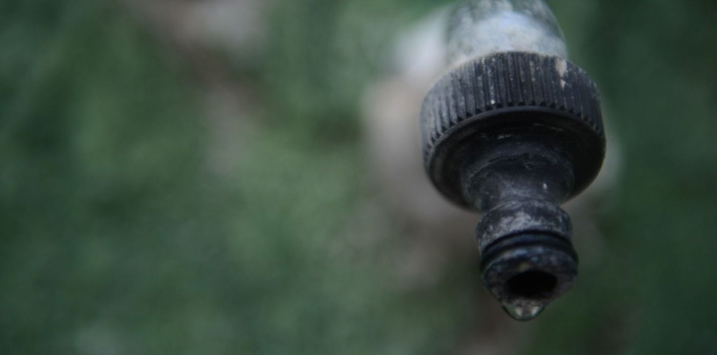 1580776083484.jpg?x=17&y=220&width=1472&height=736&rotate=0&scaleX=1&scaleY=1&ow=1500&oh=996&&cw=1920&ch=950