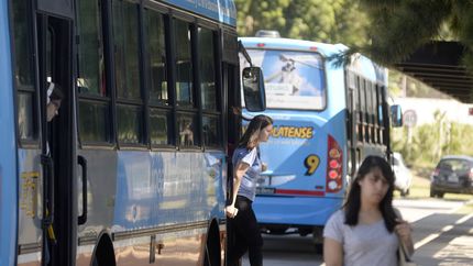 El cambio que afecta a los micros de la Línea Universitaria en medio de la vuelta a clases en la UNLP