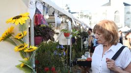todo listo para disfrutar de una triple jornada de flores, musica y comida en plaza moreno todo listo para disfrutar de una triple jornada de flores, musica y comida en plaza moreno