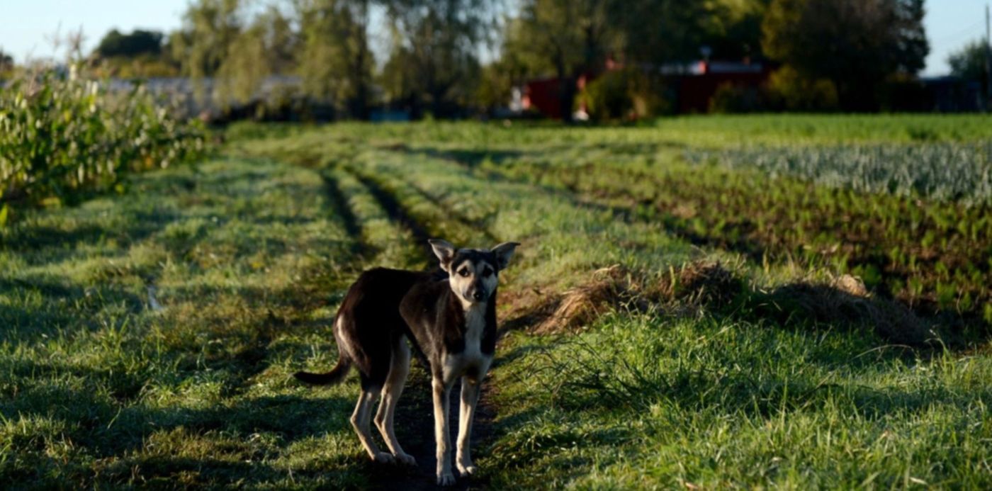 1588263946616.jpg?x=4&y=263&width=1496&height=748&rotate=0&scaleX=1&scaleY=1&ow=1500&oh=1044&&cw=1920&ch=950