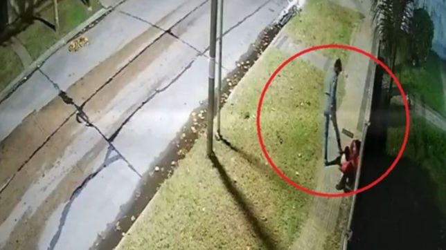 video: quiso asaltar a una mujer en la plata, no pudo sacarle nada y la termino pateando