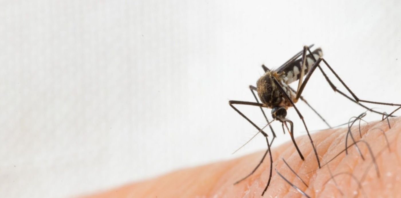 1680863906778.jpg?x=27&y=173&width=1463&height=732&rotate=0&scaleX=1&scaleY=1&ow=1500&oh=917&&cw=1920&ch=950