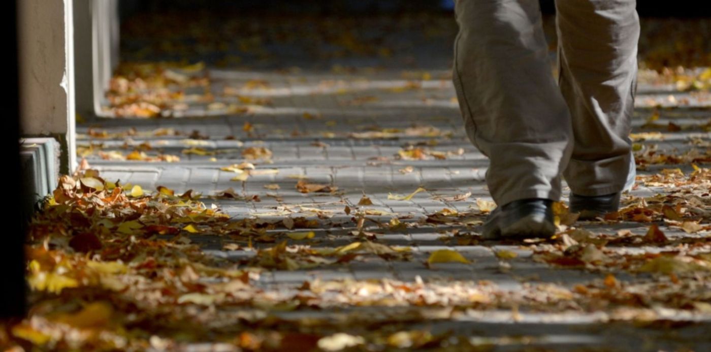 1555282235231.jpg?x=23&y=175&width=1452&height=726&rotate=0&scaleX=1&scaleY=1&ow=1500&oh=931&&cw=1920&ch=950