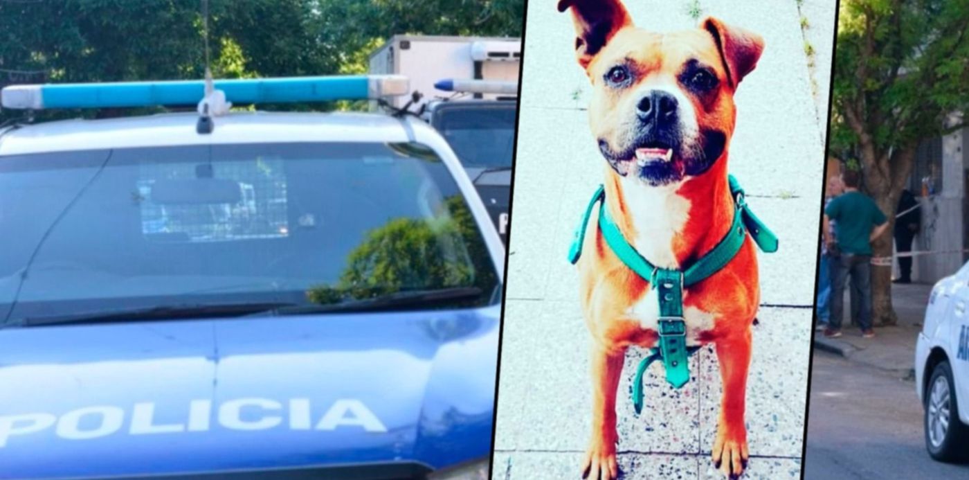 1609350874431.jpg?x=11&y=6&width=1456&height=728&rotate=0&scaleX=1&scaleY=1&ow=1500&oh=742&&cw=1920&ch=950