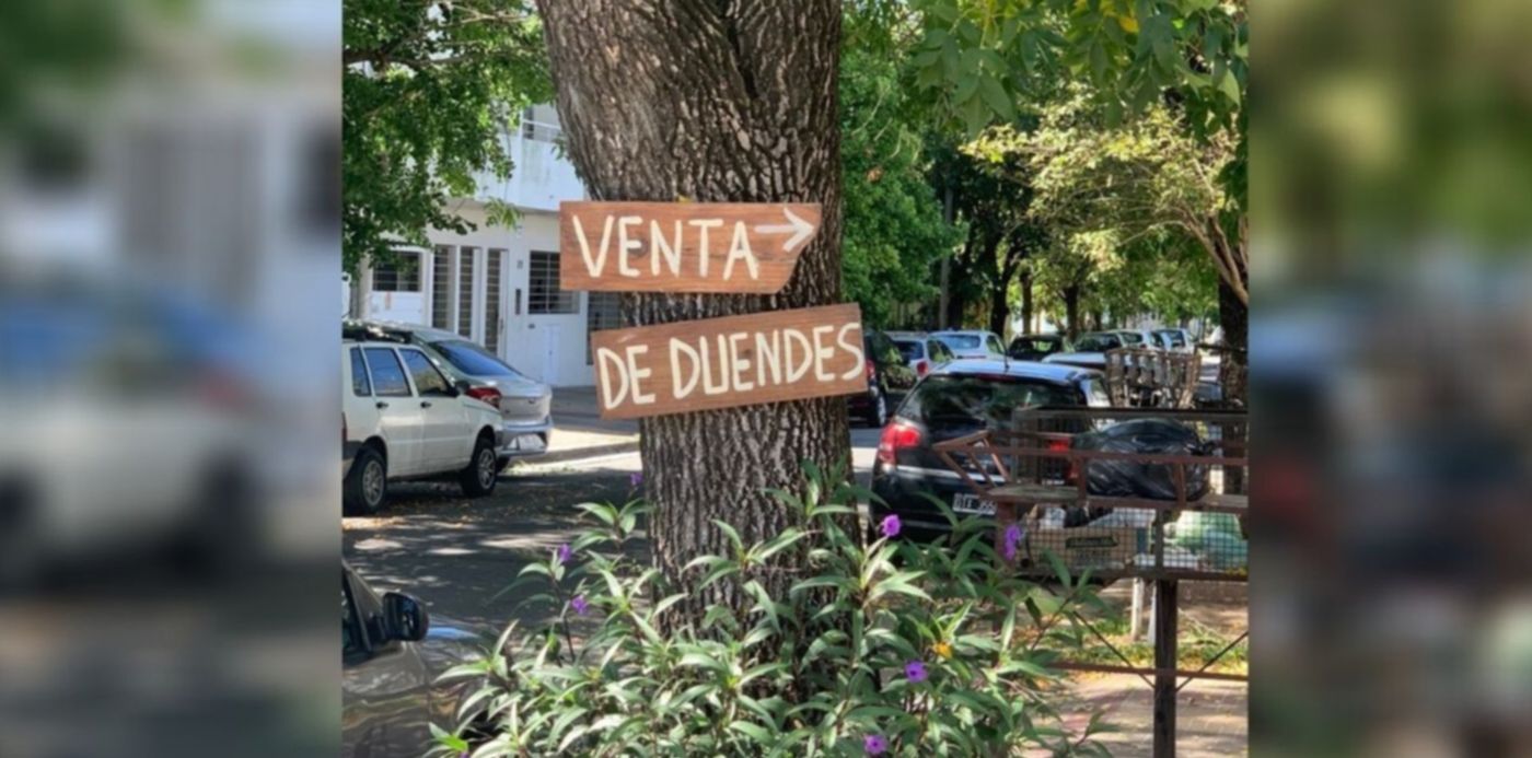 1616676239926.jpg?x=36&y=4&width=1231&height=616&rotate=0&scaleX=1&scaleY=1&ow=1350&oh=650&&cw=1920&ch=950