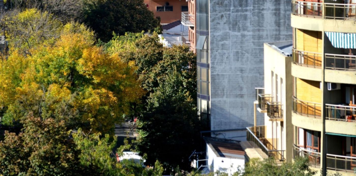 1555498808196.jpg?x=11&width=1475&scaleY=1&ow=1500&oh=1045&y=268&height=738&rotate=0&scaleX=1&&cw=1920&ch=950