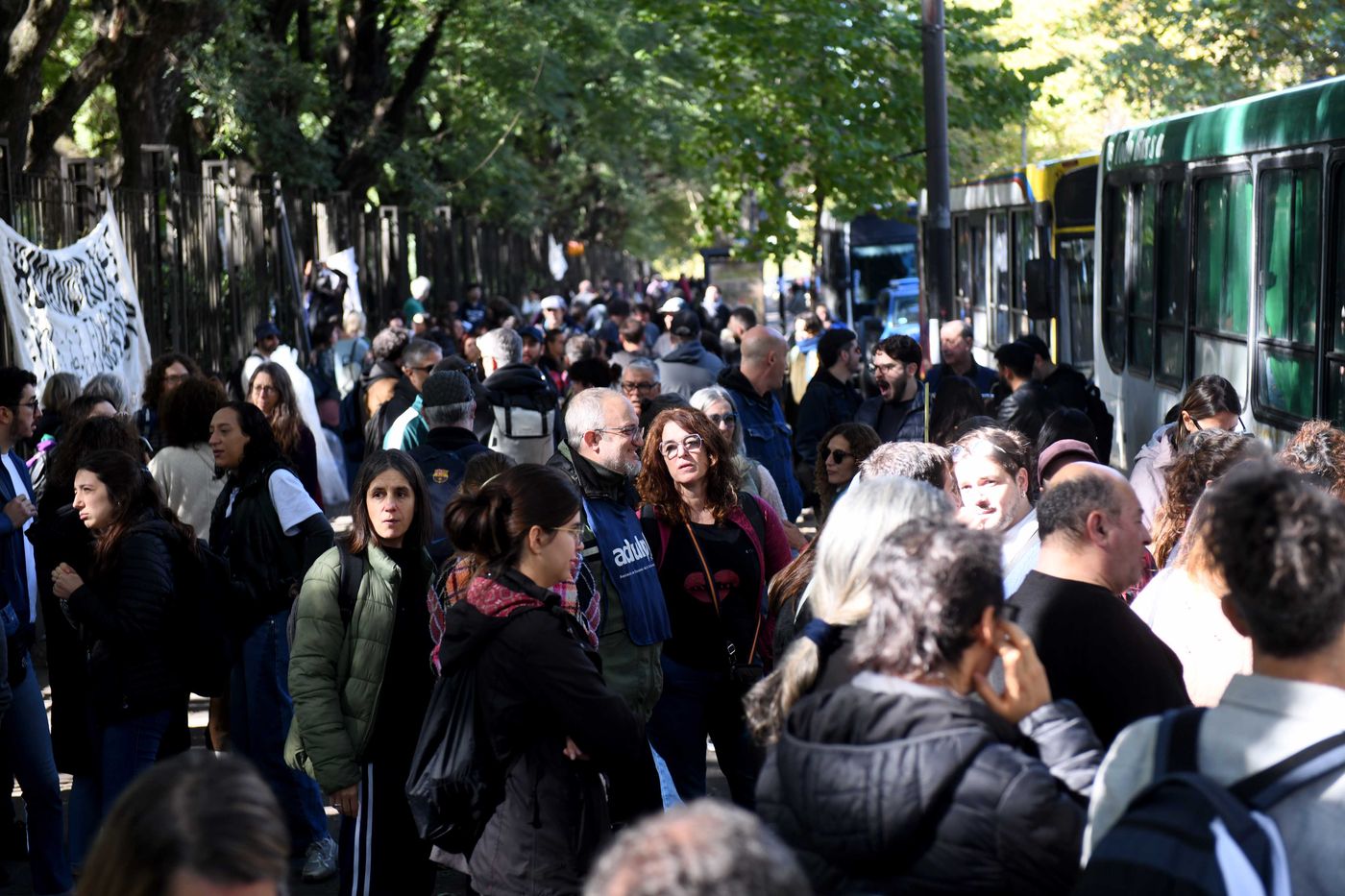 Marcha Federal Universitaria (4)