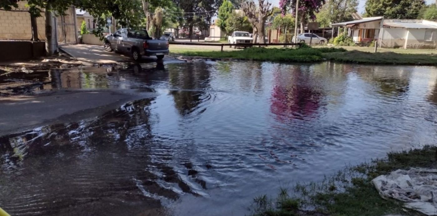 1672318660099.jpeg?x= 7&y=173&width=1507&height=753&rotate=0&scaleX=1&scaleY=1&ow=1500&oh=1125&&cw=1920&ch=950