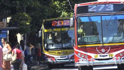 Lanzan un pase digital para que personas con discapacidad usen el transporte gratis