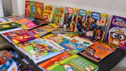 ¿Cómo es el programa que distribuirá 11 millones de libros en todo el país?