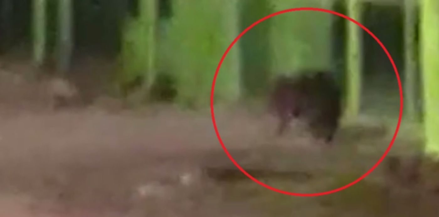 1632173636498.jpg?x=6&y=192&width=930&height=465&rotate=0&scaleX=1&scaleY=1&ow=942&oh=760&&cw=1920&ch=950