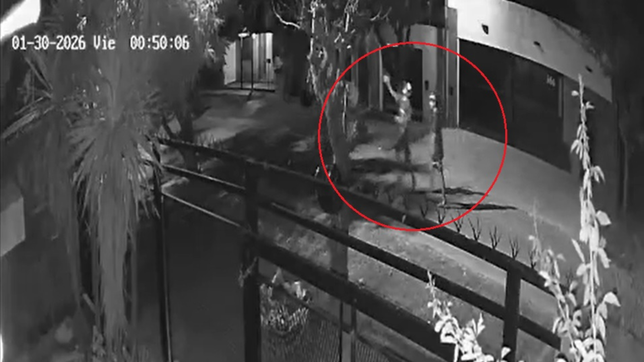 corridas, piedrazos y un gran incendio causaron alarma en tolosa