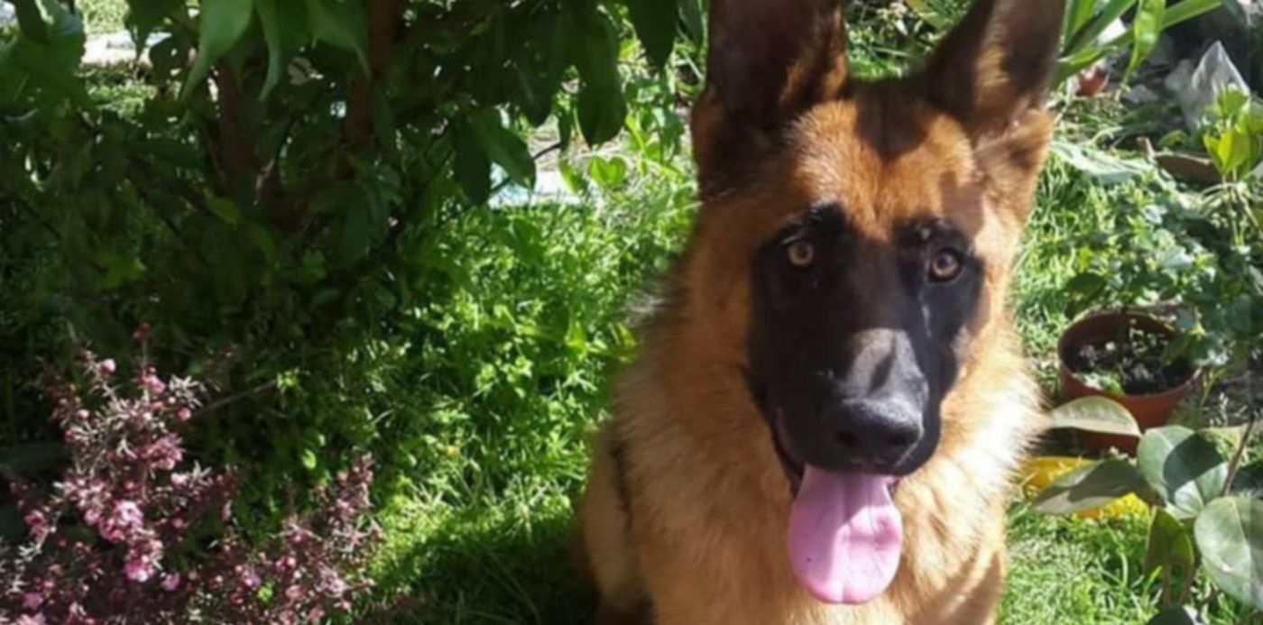 1554321209871.jpg?scaleX=1&oh=946&x= 1&y=39&width=937&height=469&rotate=0&scaleY=1&ow=939&&cw=1920&ch=950