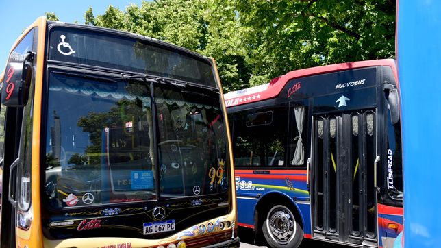 aumenta el boleto de los micros en caba y el amba: ¿que va a pasar en la plata y la region?