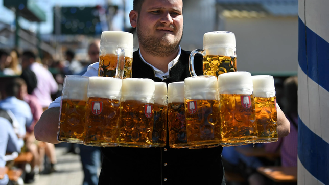 cientificos de la unlp y el conicet recrean el sabor de distintas cervezas milenarias