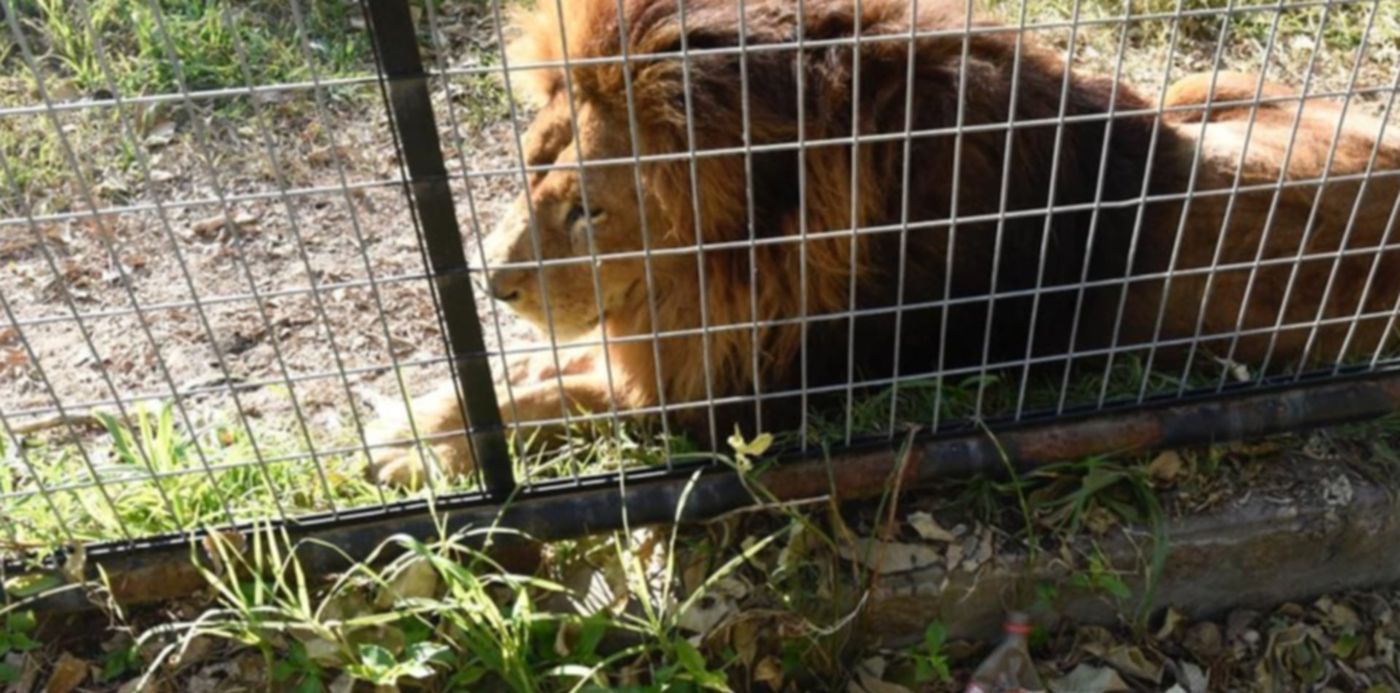 1541020021105.jpeg?height=478&rotate=0&oh=689&x=61&width=957&scaleY=1&ow=1024&y=211&scaleX=1&&cw=1920&ch=950