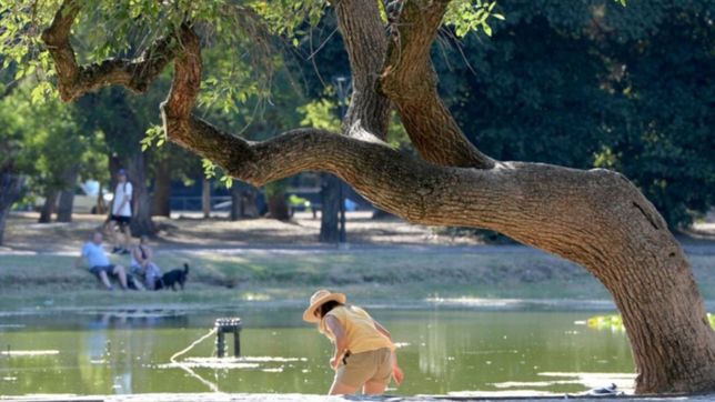 ola de calor en la plata: ¿en que barrio se registro la temperatura mas alta este lunes?