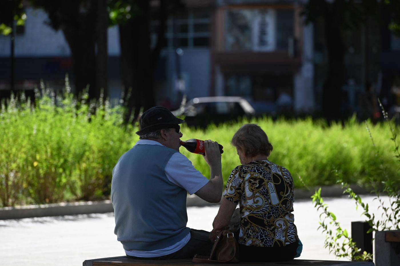 Altas temperaturas calor  (5)