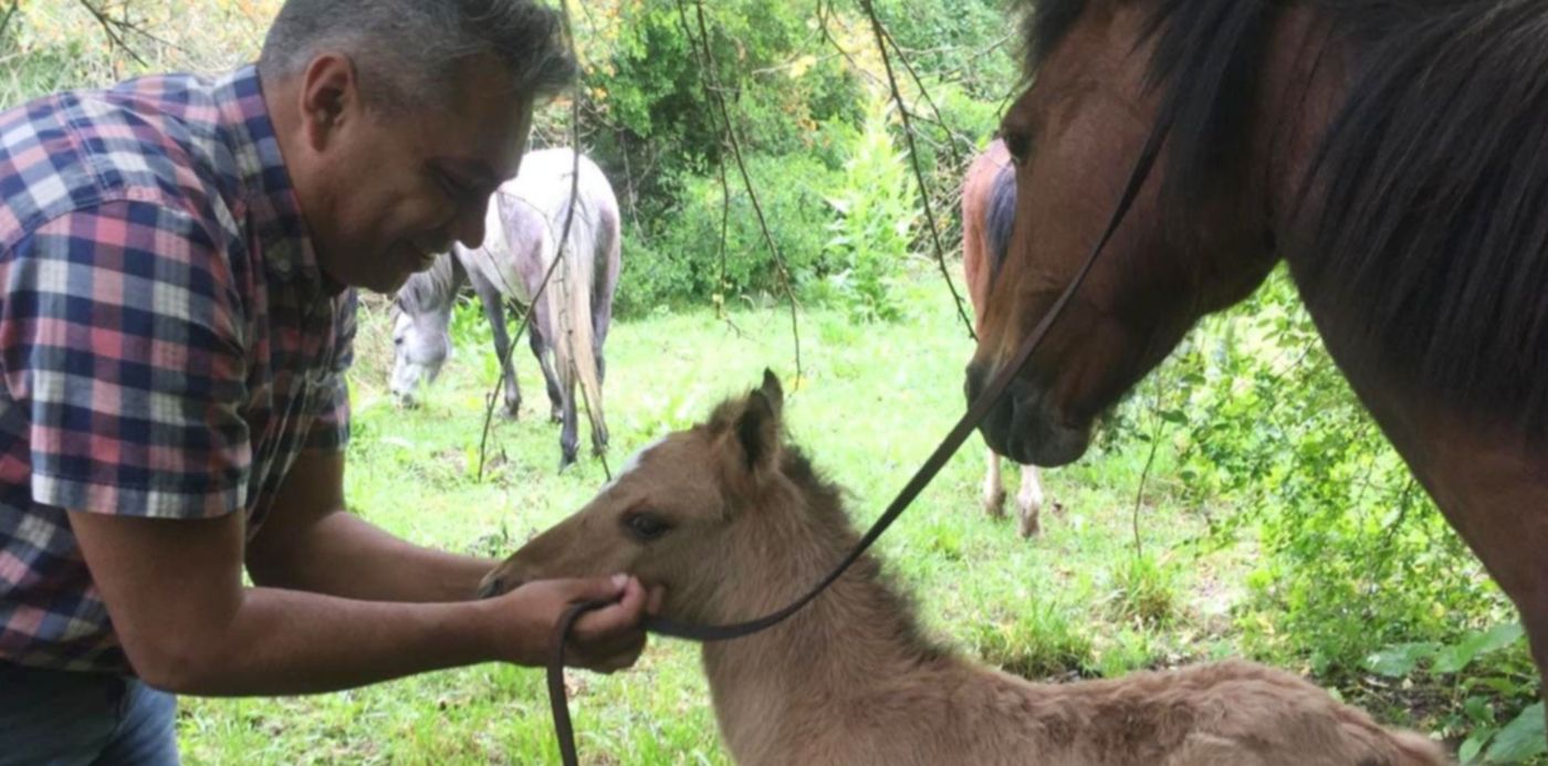 1572997161197.jpg?width=1264&rotate=0&scaleX=1&scaleY=1&oh=960&x=10&y=51&height=632&ow=1280&&cw=1920&ch=950