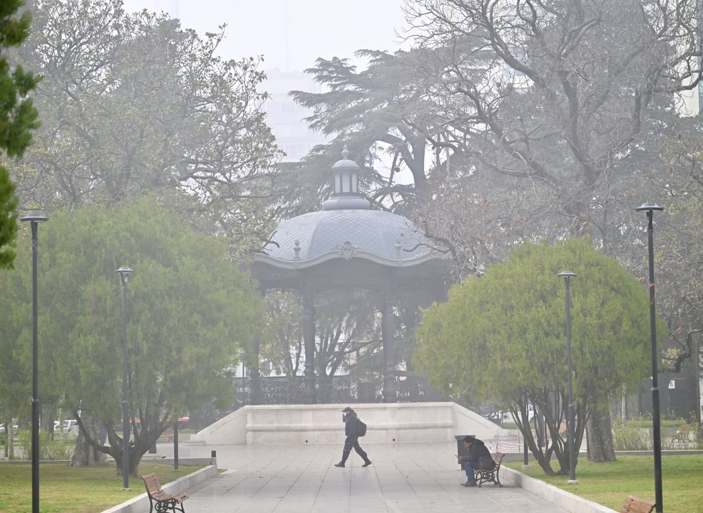 Neblina niebla (5)