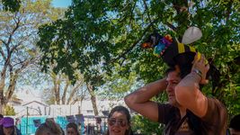 llega a la plaza azcuenaga de la plata un nuevo desfile de mascotas llega a la plaza azcuenaga de la plata un nuevo desfile de mascotas