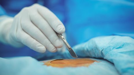 El juicio por el caso de la Silvina Luna platense se acerca el veredicto El juicio por el caso de la Silvina Luna platense se acerca el veredicto