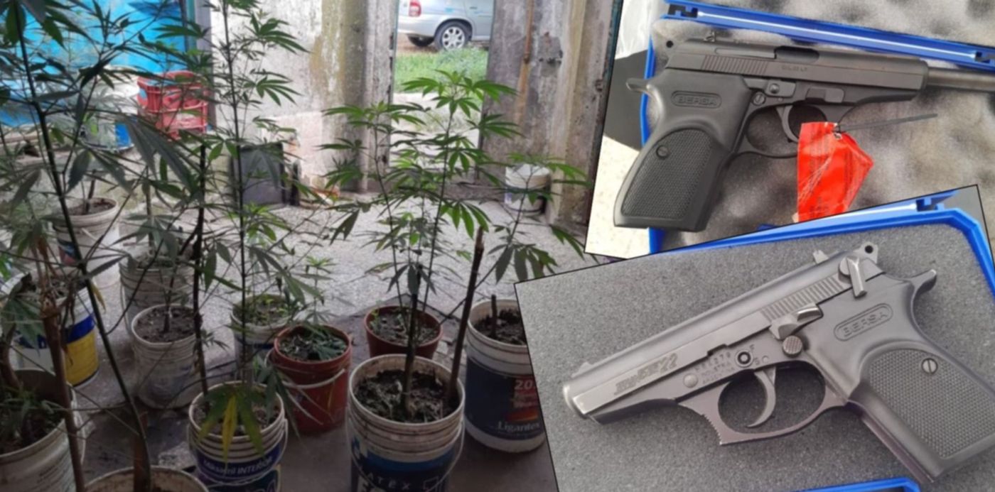 Maceta marihuana armas