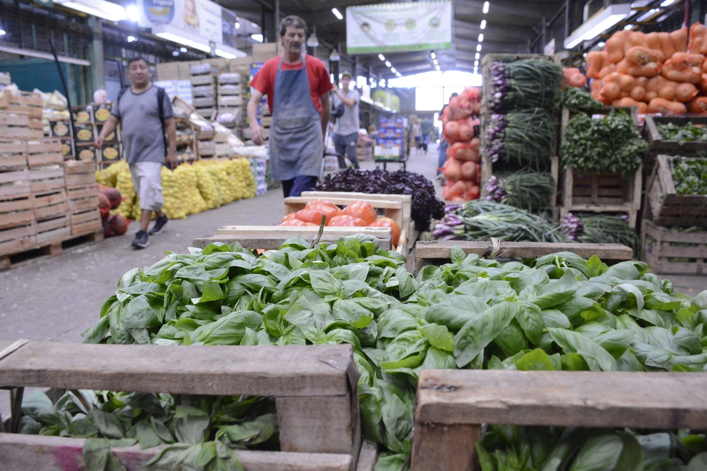 Mercado Regional (1).JPG