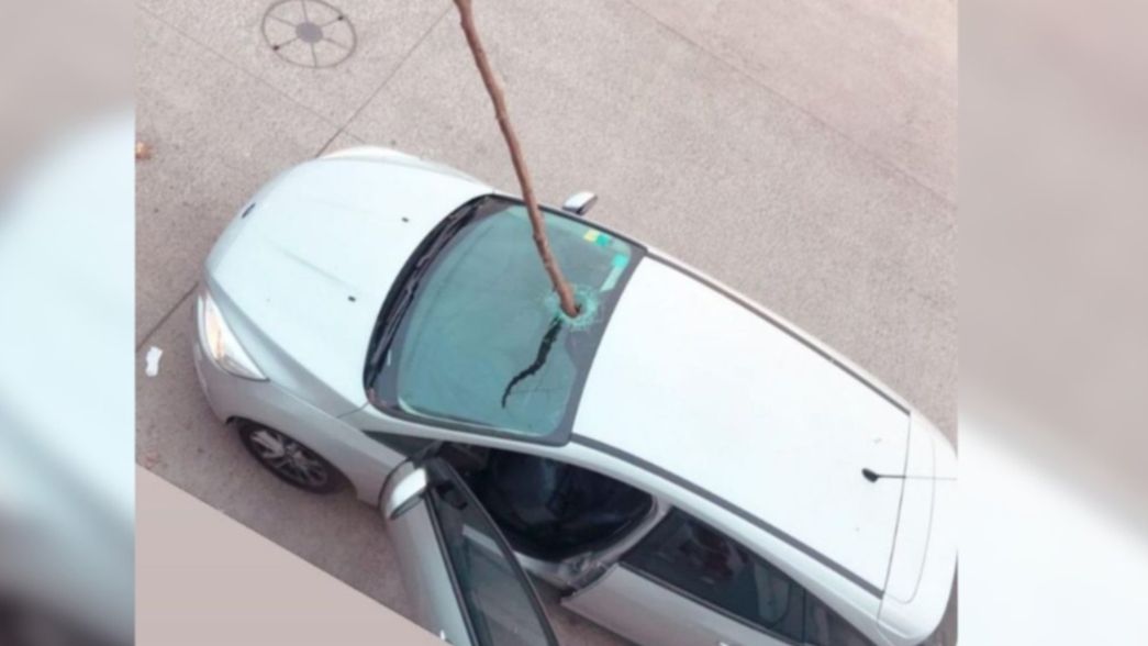 Una rama voló en pleno temporal en La Plata, atravesó un parabrisas e hirió a un hombre