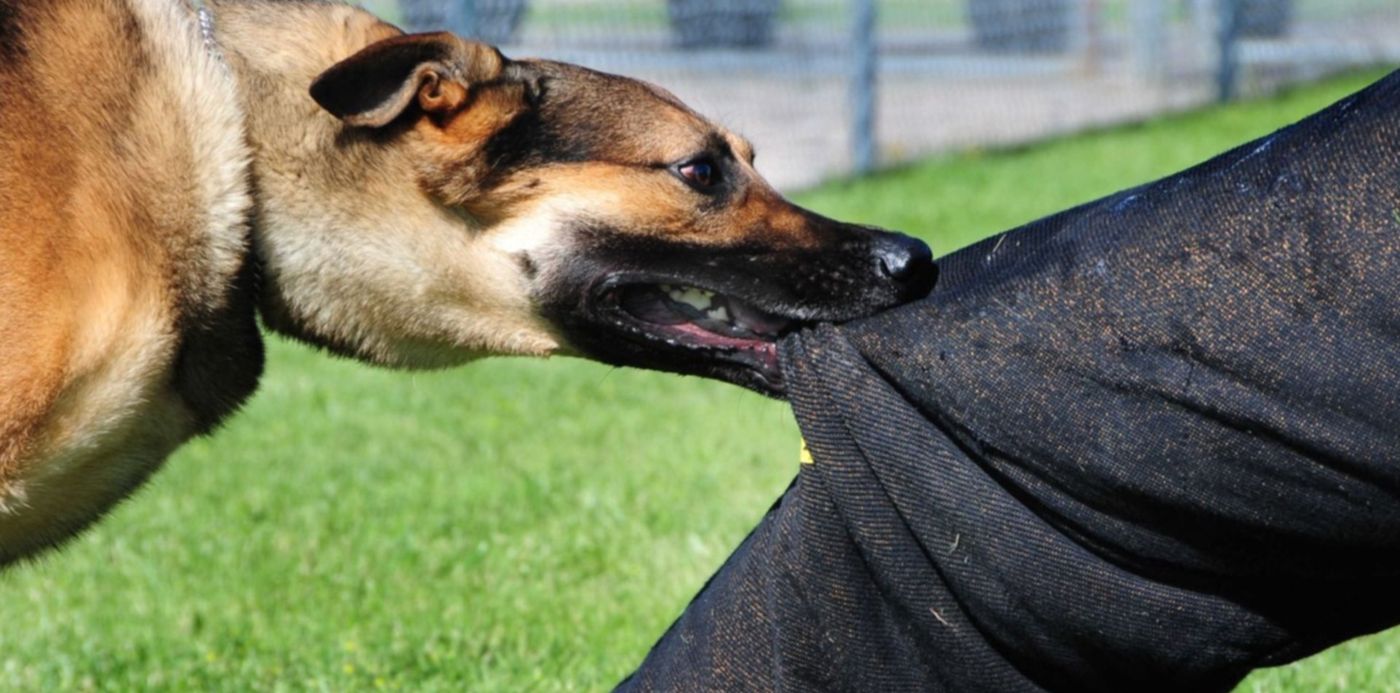 1574203650746.jpg?x=7&width=1485&ow=1500&oh=995&y=3&height=743&rotate=0&scaleX=1&scaleY=1&&cw=1920&ch=950