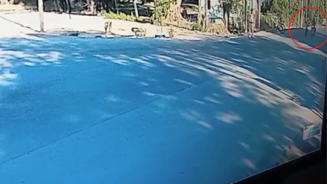 Motociclista mató a jubilada.png