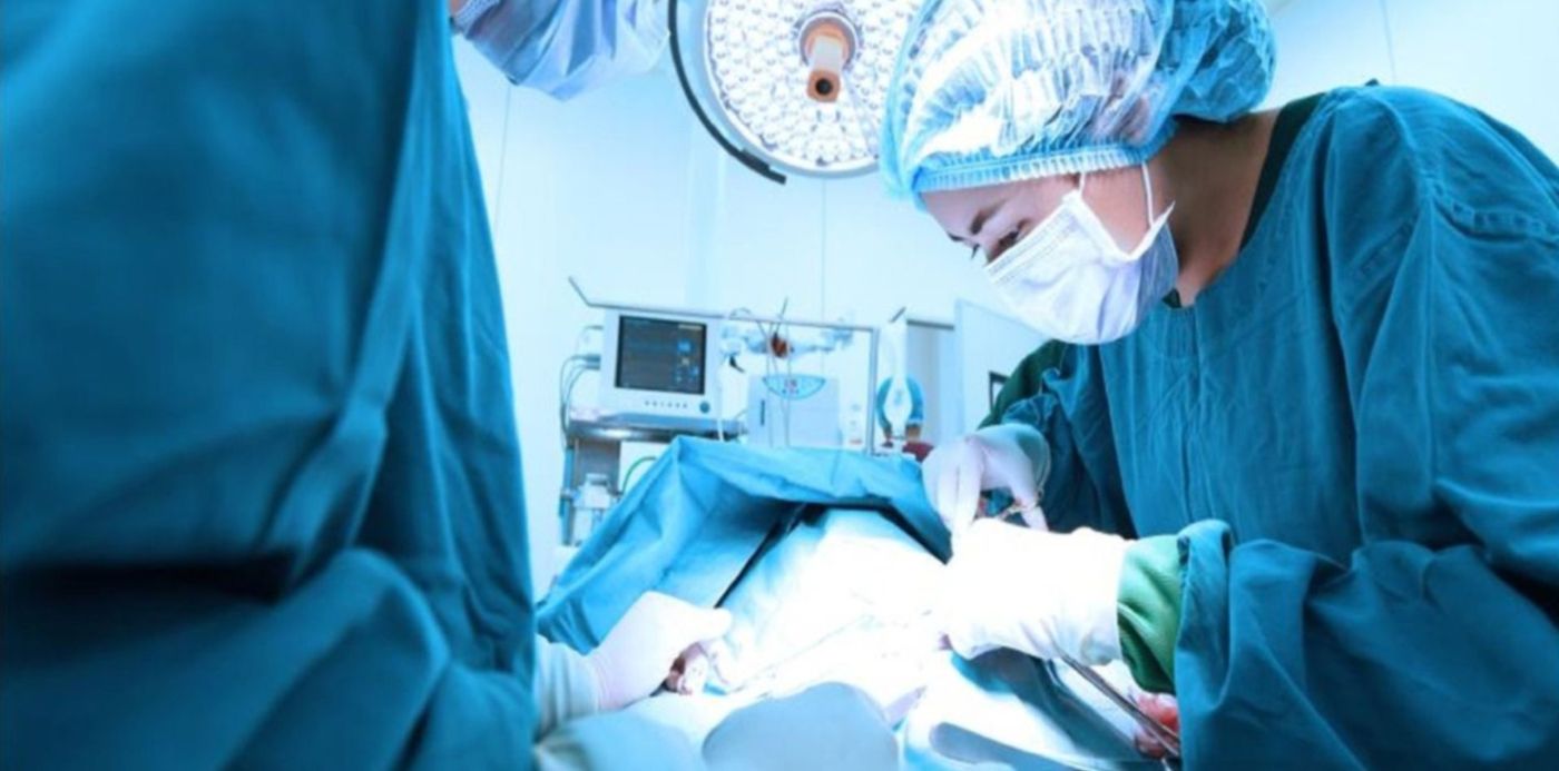 1556133997279.jpg?x=3&y=184&width=1487&height=743&rotate=0&scaleX=1&scaleY=1&ow=1500&oh=1001&&cw=1920&ch=950