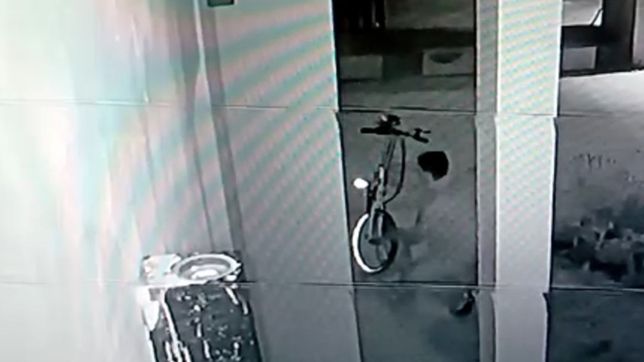 video: se metieron en un country de la plata, robaron y escaparon tras romper un alambrado