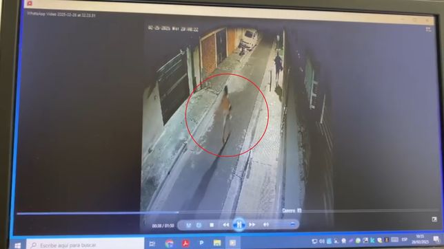 un informe oficial ubica al menor de 14 anos por fuera de la tragica muerte