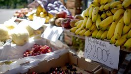 ¿cuales son los rubros en los que mas impacto el aumento de los precios en la plata? ¿cuales son los rubros en los que mas impacto el aumento de los precios en la plata?