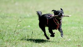 Ignacio Amiconi / AGLP Ignacio Amiconi / AGLP