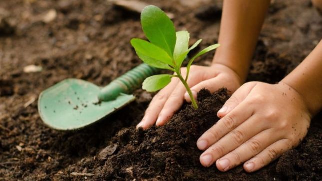 la unlp desarrollara espacios de capacitacion medioambiental