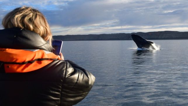 arranca el travel sale 2025 con promociones en vuelos, alojamientos y paquetes turisticos