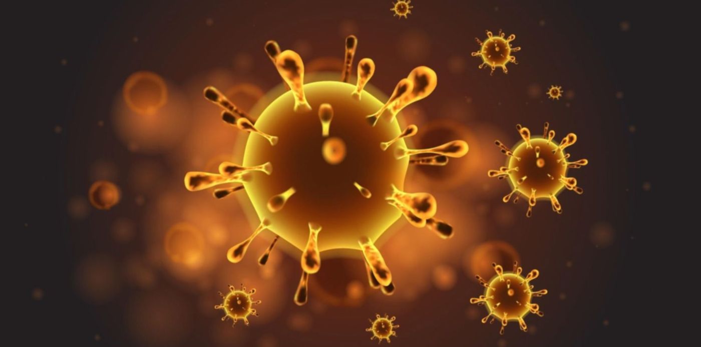 1584104953556.jpeg?x=21&width=1474&height=737&scaleY=1&oh=857&y=51&rotate=0&scaleX=1&ow=1500&&cw=1920&ch=950