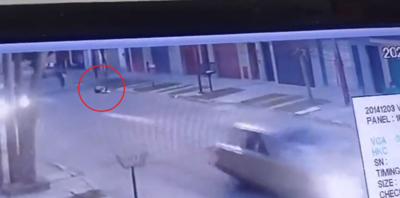 1691592860832.jpg?x= 3&y=34&width=1506&height=753&rotate=0&scaleX=1&scaleY=1&ow=1500&oh=840&&cw=1920&ch=950