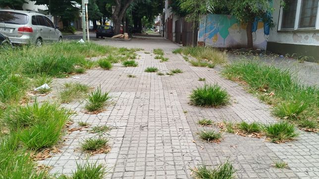 crecen los reclamos al consejo escolar de la plata por las obras en las escuelas