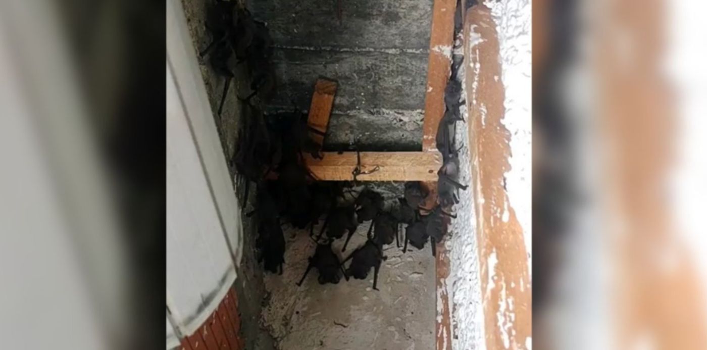 1645449158257.jpg?x=39&y=17&width=1298&height=649&rotate=0&scaleX=1&scaleY=1&ow=1360&oh=675&&cw=1920&ch=950