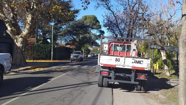 una nena de 5 anos se solto de la mano de su mama y fue chocada por un camion en la plata