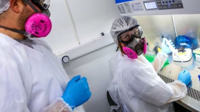 un laboratorio de la unlp se sumo a un desarrollo mundial de drogas contra el covid-19