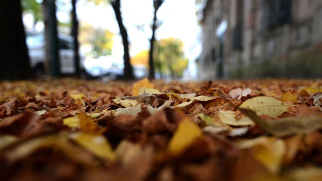 adelantan como va a ser el proximo otono en la provincia y la plata
