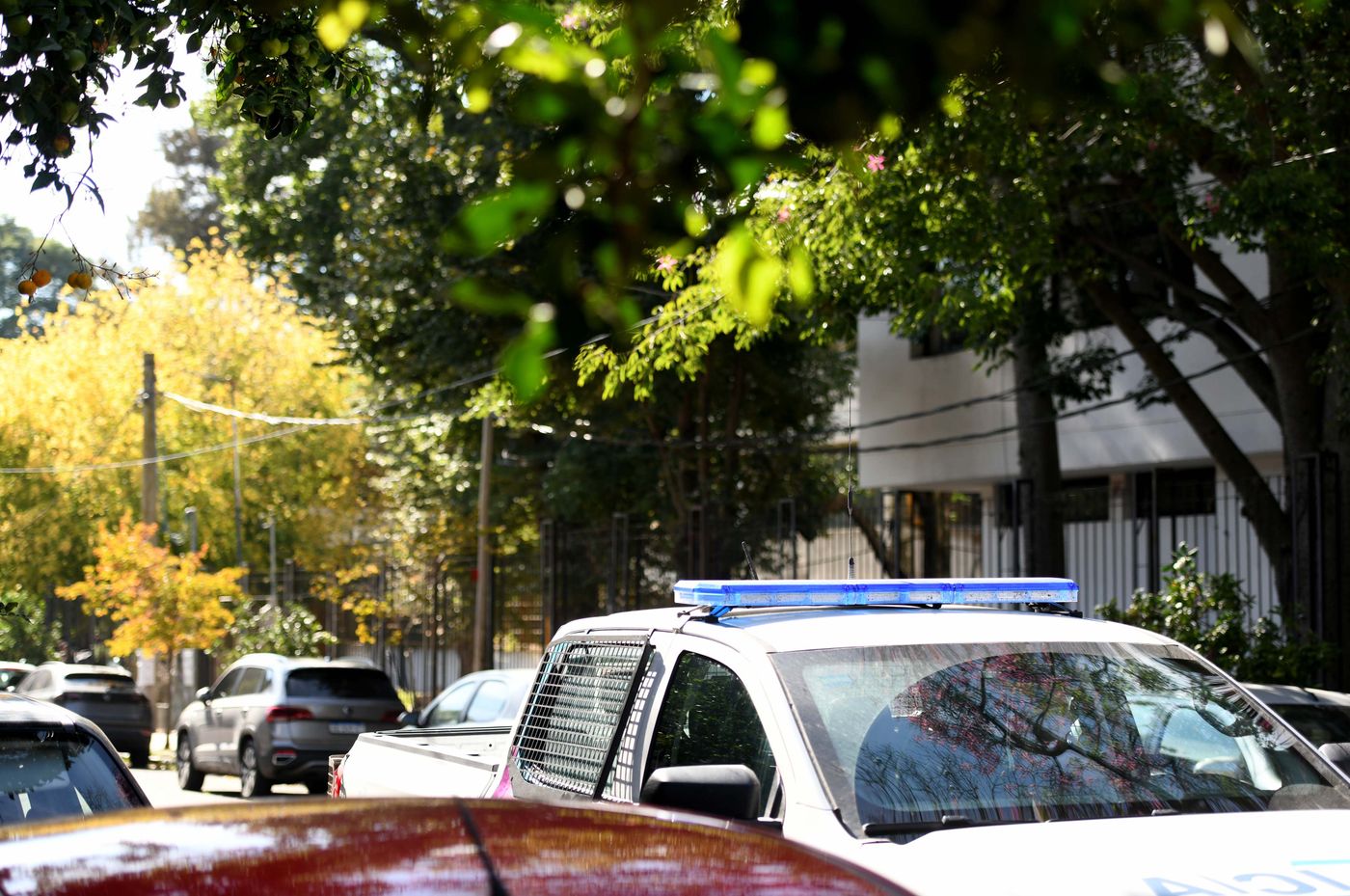 Operativo por la bebé muerta en la Facultad de Arquitectura (4)
