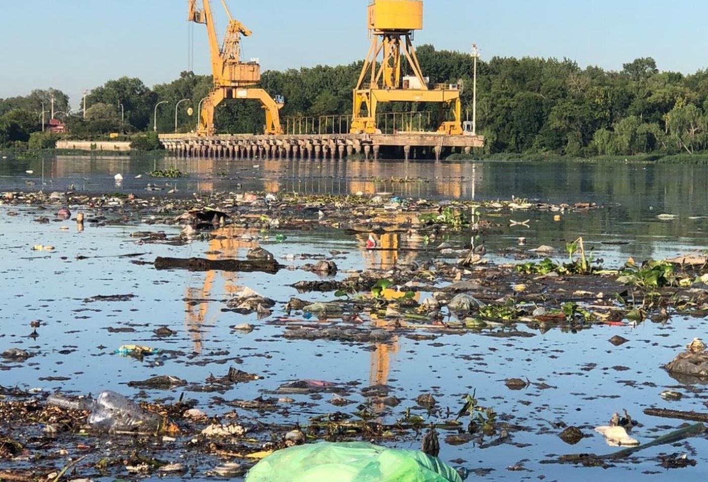 La Municipalidad de La Plata, la Provincia y ABSA fueron condenados por  contaminar el arroyo El Gato