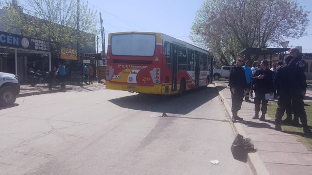 un micro atropello a una mujer en berisso y esta en grave estado
